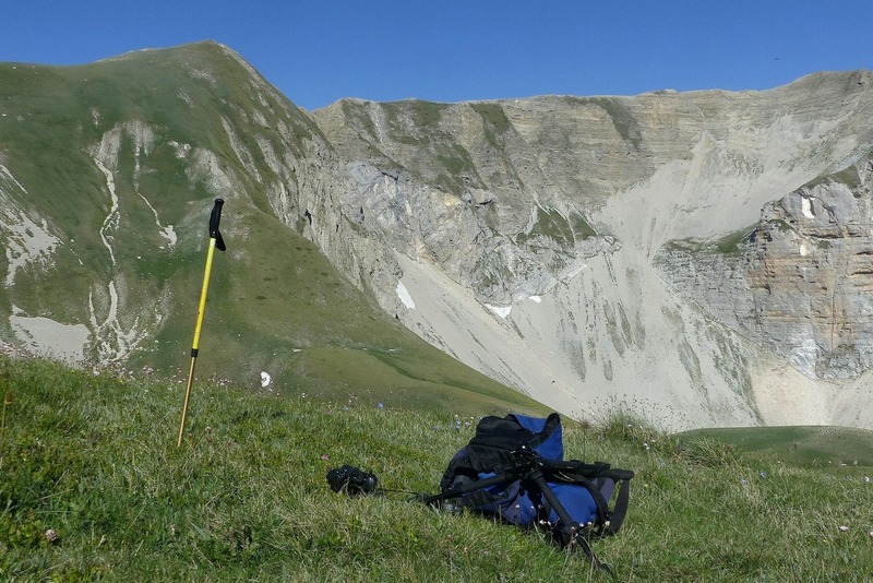 Orchidee e fiori del Monte Vettore e del Lago di Pilato � 26 giugno 2025.